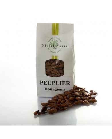 Peuplier - Bourgeons en vrac Peuplier - Bourgeons en vrac