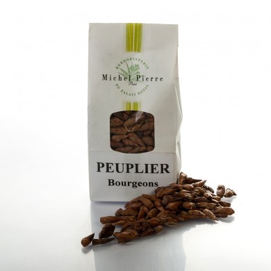 Peuplier - Bourgeons en vrac Peuplier - Bourgeons en vrac