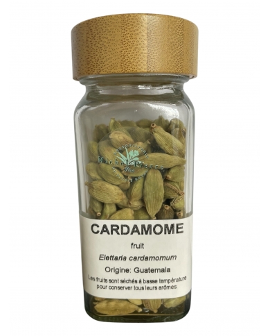 Cardamome fruit - pot à épice Cardamome fruit - pot à épice