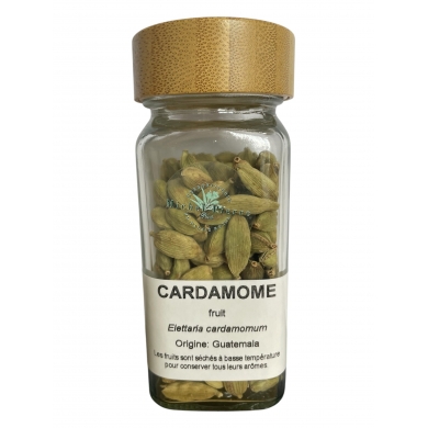 Cardamome fruit - pot à épice Cardamome fruit - pot à épice