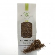 Piloselle - Parties aériennes en vrac Piloselle - Parties aériennes en vrac