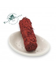 Sauge blanche et eucalyptus à bruler Sauge blanche et eucalyptus à bruler