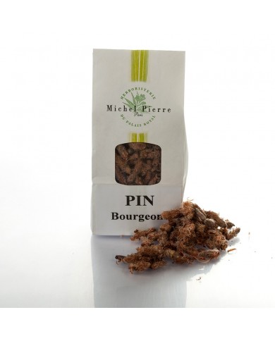 Pin sylvestre - Bourgeons en vrac Pin sylvestre - Bourgeons en vrac