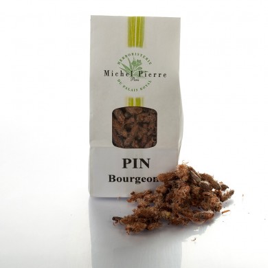 Pin sylvestre - Bourgeons en vrac Pin sylvestre - Bourgeons en vrac