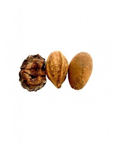 Triphala en gélules Triphala en gélules