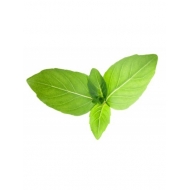 Tulsi (Basilic sacré) en poudre Tulsi (Basilic sacré) en poudre