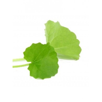 Mandukaparni (Centella asiatica) 125gel Mandukaparni (Centella asiatica) 125gel