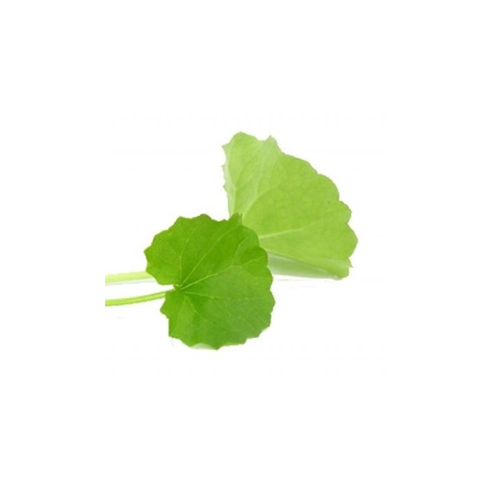 Mandukaparni (Centella asiatica) 125gel
