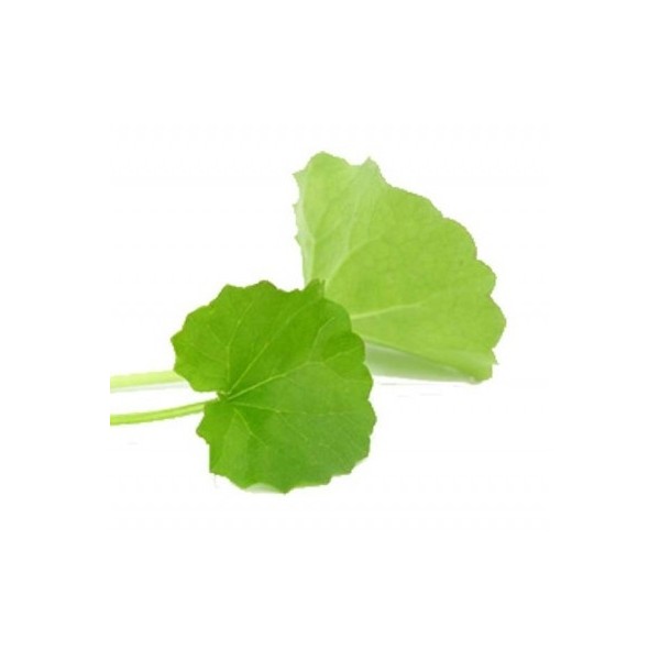 Mandukaparni (Centella asiatica) 125gel