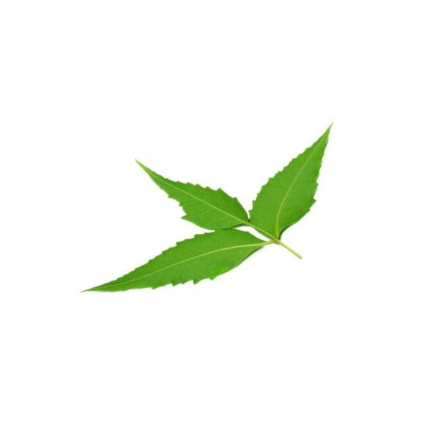 Nimba (Neem) 125 gélules