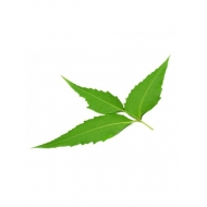 Nimba (Neem) 125 gélules