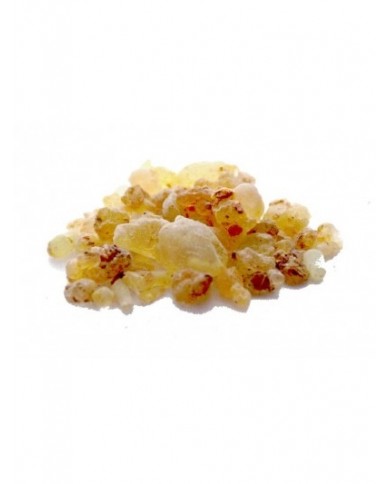 Shallaki - Boswellia serrata en poudre Shallaki - Boswellia serrata en poudre