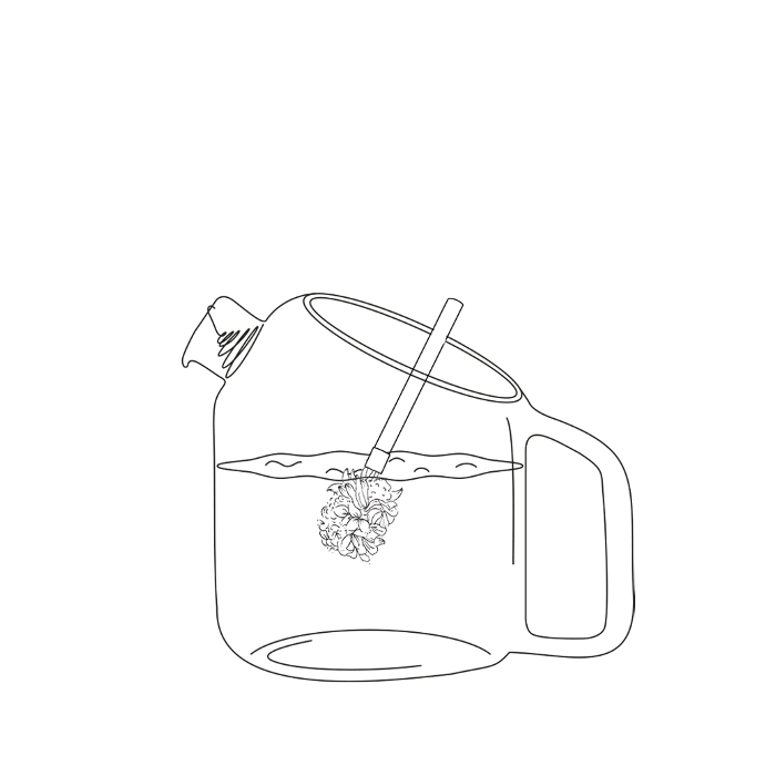 Coffret de 2 bouquets Fleurs des Montagnes à infuser Bio