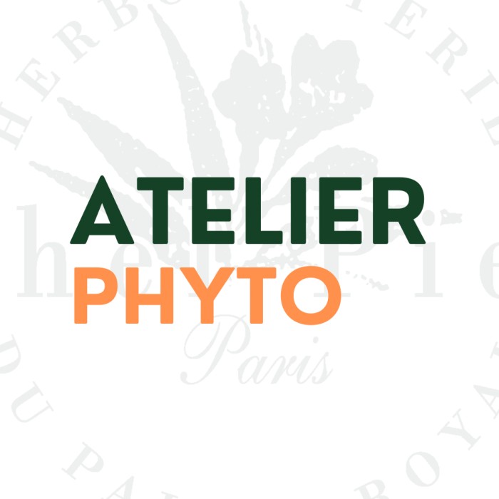 Atelier Les clés d'une bonne Digestion et les plantes indispensables à connaître - 14 octobre 2026