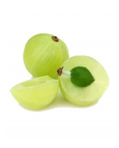 Amalaki (amla) en poudre Amalaki (amla) en poudre
