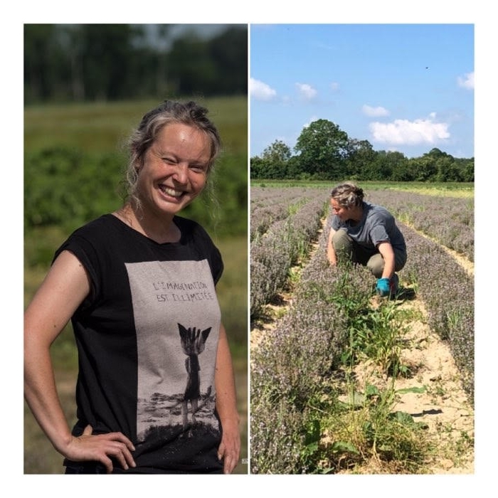 Rose en eau florale Bio