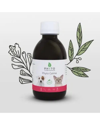 Phyto calm Phyto calm