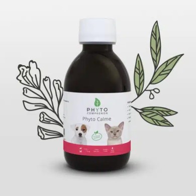 Phyto calm Phyto calm
