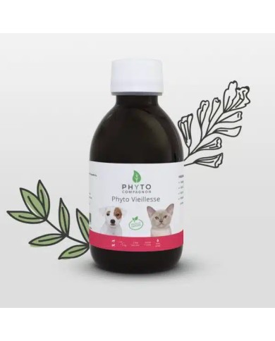 Phyto vieillesse Phyto vieillesse