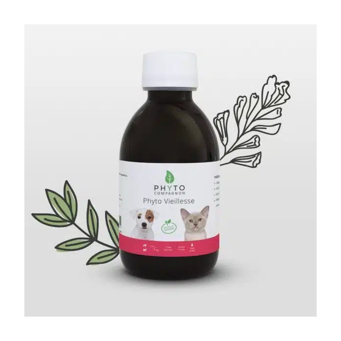 Phyto vieillesse