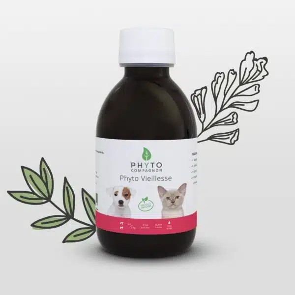 Phyto vieillesse