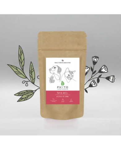 Phyto arti+ Phyto arti+