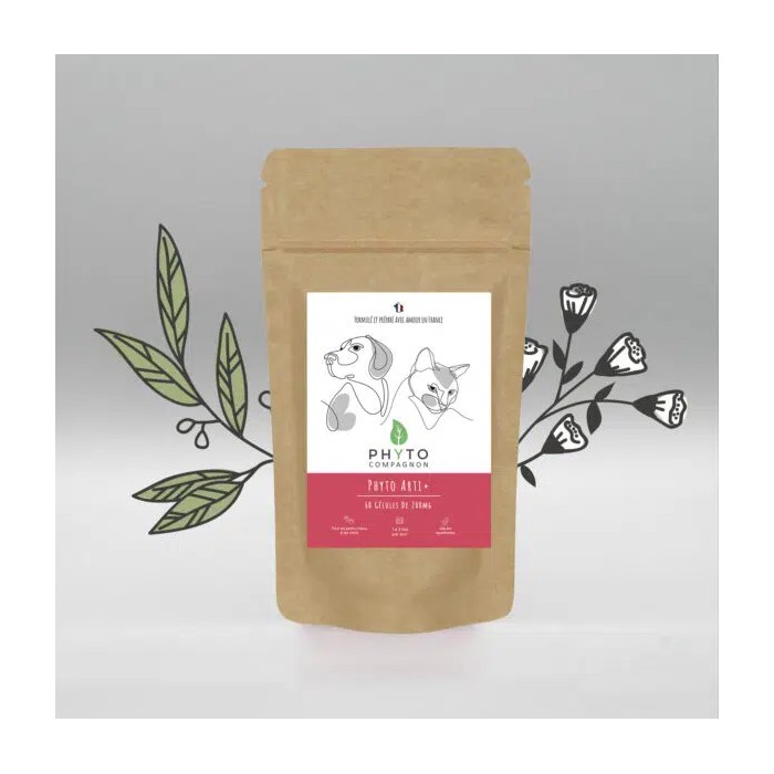 Phyto arti+