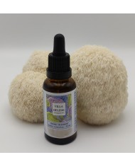 Complexe Champignons Biologique 500 mg