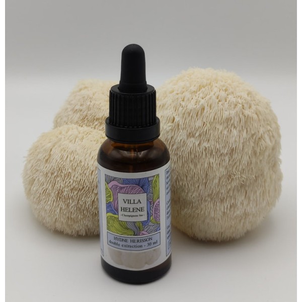 Hericium en extrait 30ml