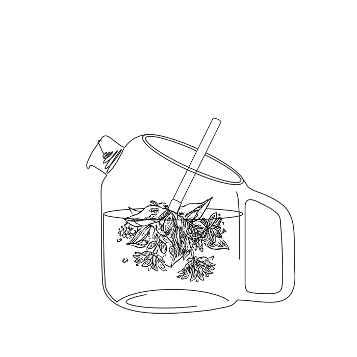 Coffret de 2 bouquets Fleurs sauvages à infuser Bio