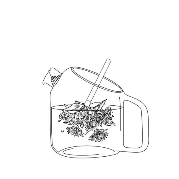 Coffret de 2 bouquets Fleurs sauvages à infuser Bio