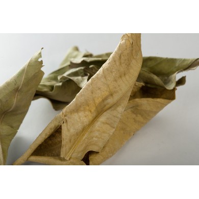 Oranger bigaradier - Feuilles en vrac BIO