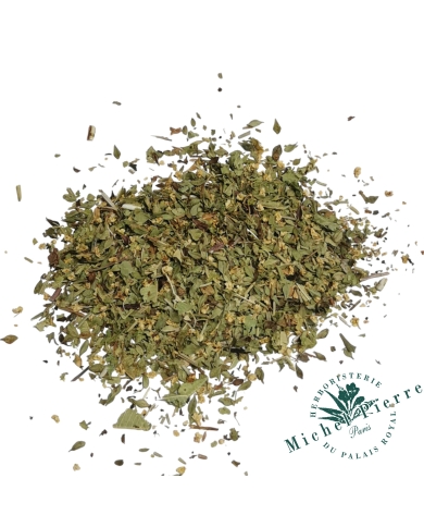 Tisane coup de fouet