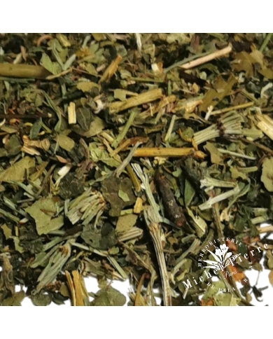 Tisane de l'Amazone
