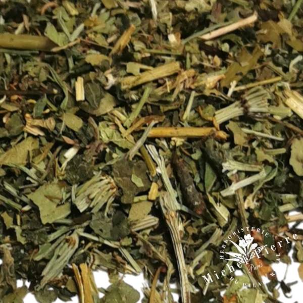 Tisane de l'Amazone