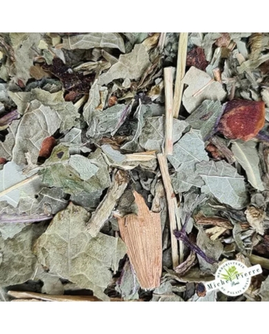 Tisane du Centenaire herboristerie du Palais Royal Michel Pierre Paris