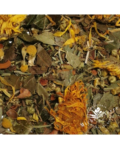Tisane gueule de bois herboristerie du Palais Royal Michel Pierre Paris