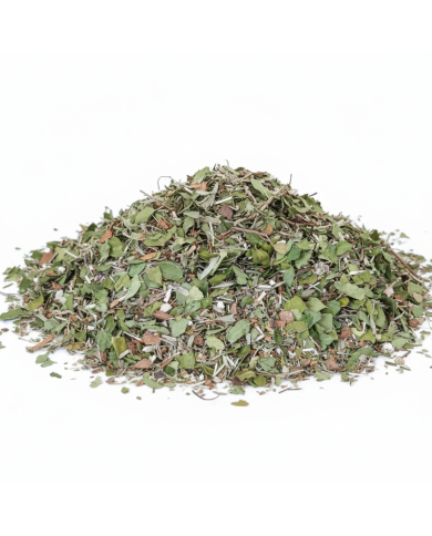 Tisane Convalescence Hivernale