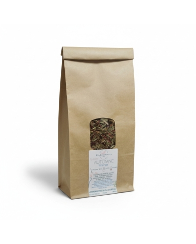 Tisane de l'Automne - Spéciale "énergie"!