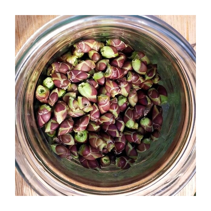 Lilas - Gemmothérapie bio