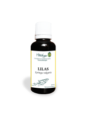 Charme - Gemmothérapie bio