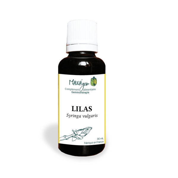Lilas - Gemmothérapie bio