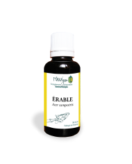 Charme - Gemmothérapie bio