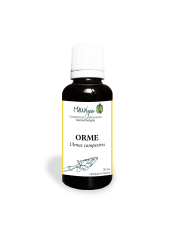 Poirier - Gemmothérapie bio