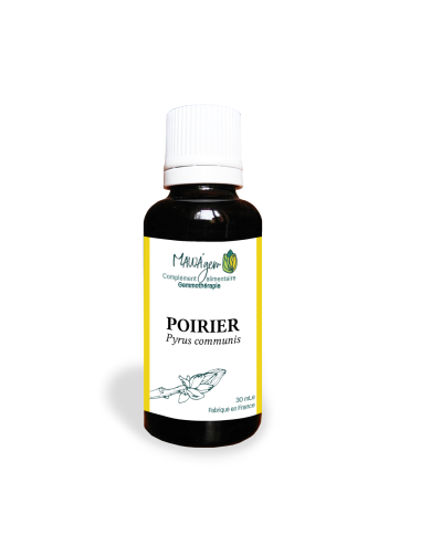 Poirier - Gemmothérapie bio