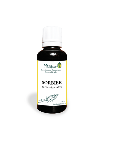 Sorbier - Gemmothérapie bio