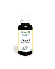 Poirier - Gemmothérapie bio