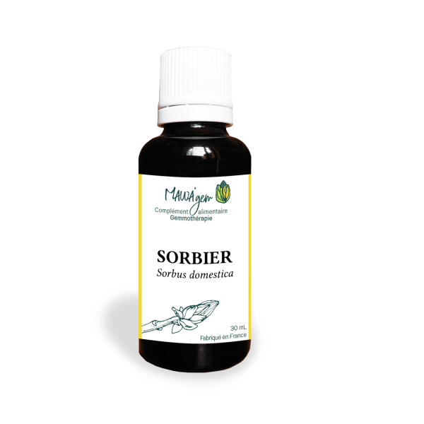 Sorbier - Gemmothérapie bio