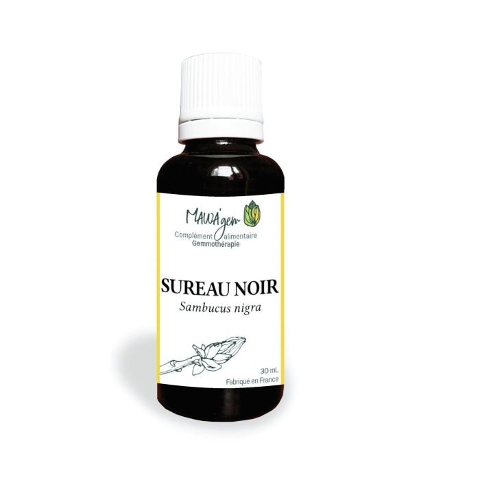 Sureau noir - Gemmothérapie bio