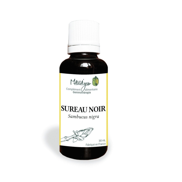 Sureau noir - Gemmothérapie bio